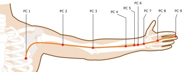 Pericardium Meridian Acupuncture Points