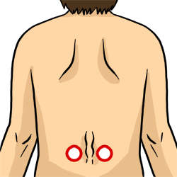 Acupressure Point - Bladder 21