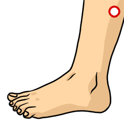 Acupressure Point - Gallbladder 35