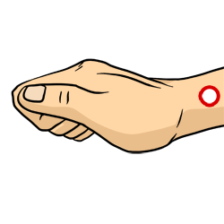 Acupressure Point - Lung 7