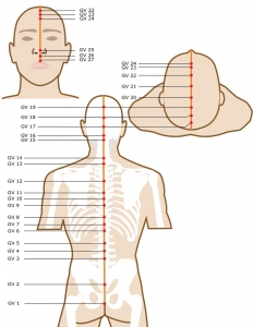 Acupuncture Meridian - Governing Vessel