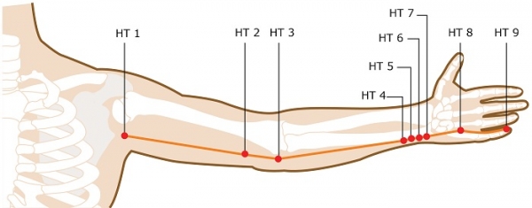 Acupuncture Points Guide – View All Meridians