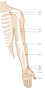 Lung Meridian Acupuncture Points