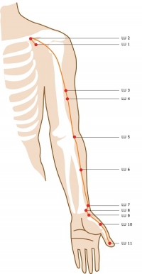 Lung Meridian Acupuncture Points